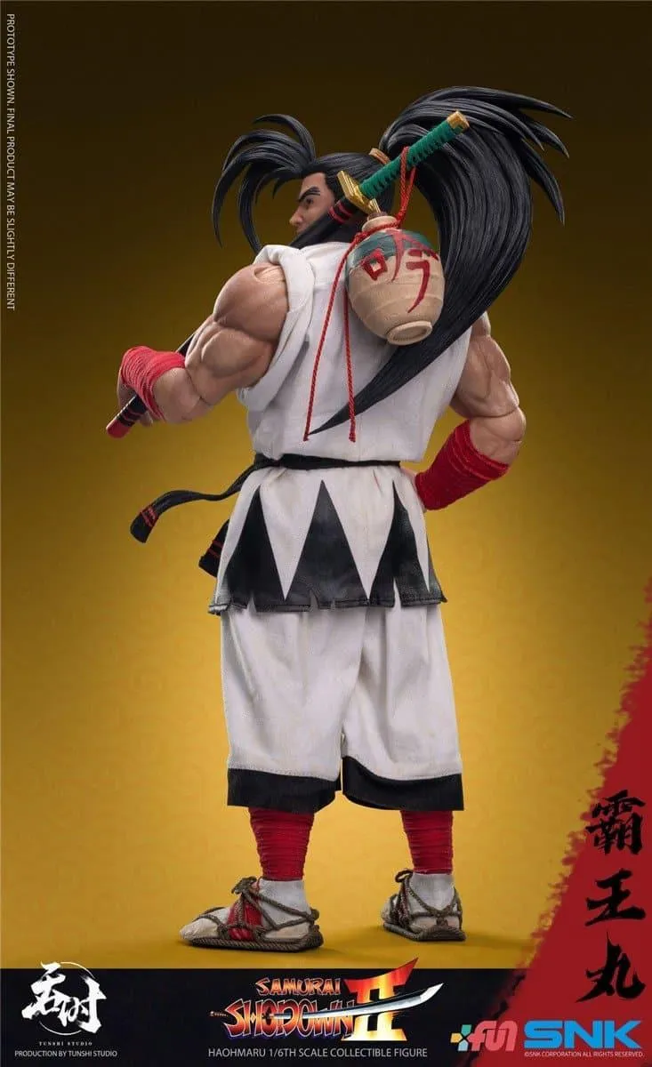 1:6 Haohmaru Action Figure