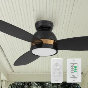 Biscay Ⅱ Low Profile Smart Fan with LED Light Remote Outdoor/indoor 48"