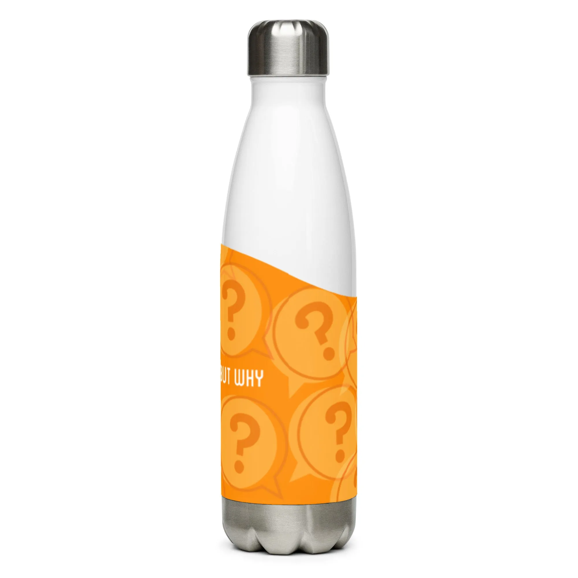 But Why Stainless Steel Water Bottle