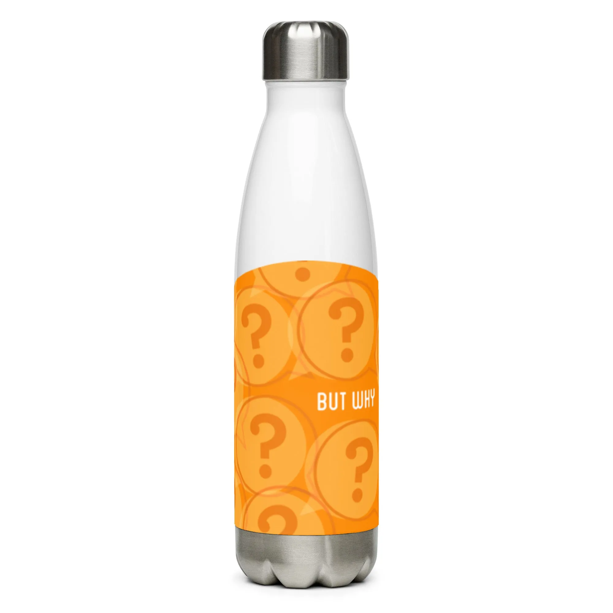 But Why Stainless Steel Water Bottle