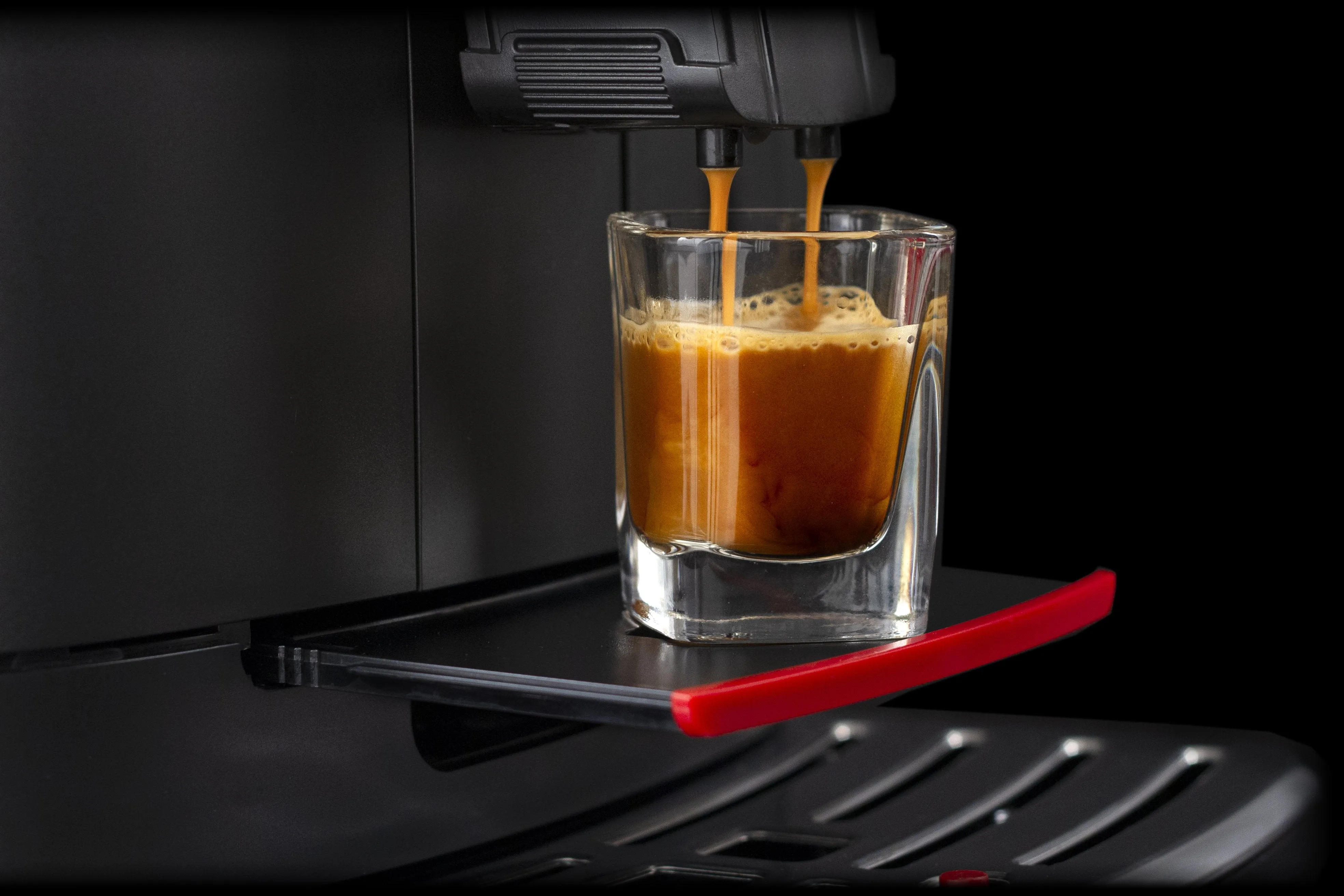 Gaggia Cadorna Milk