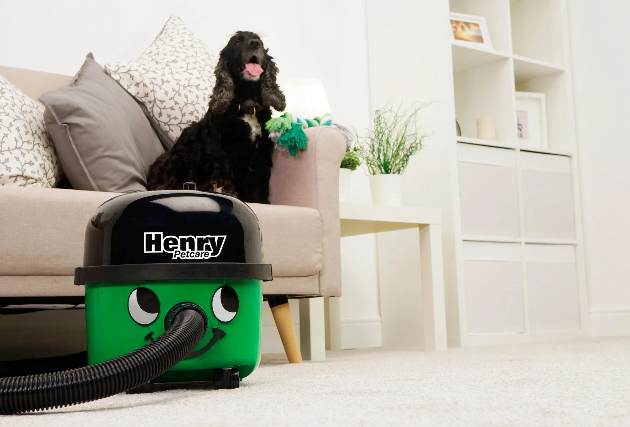 Henry Pet Care Vacuum