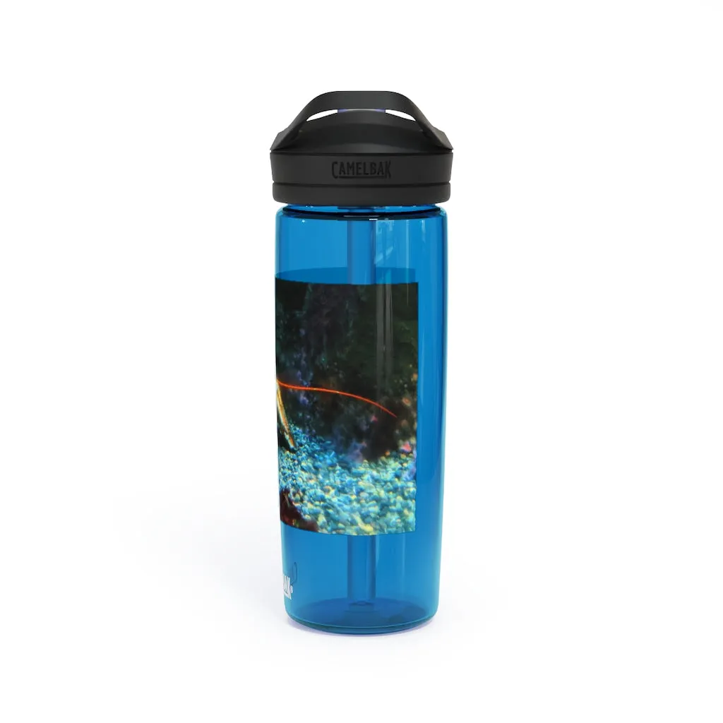 Lobster CamelBak Eddy®  Water Bottle, 20oz\25oz