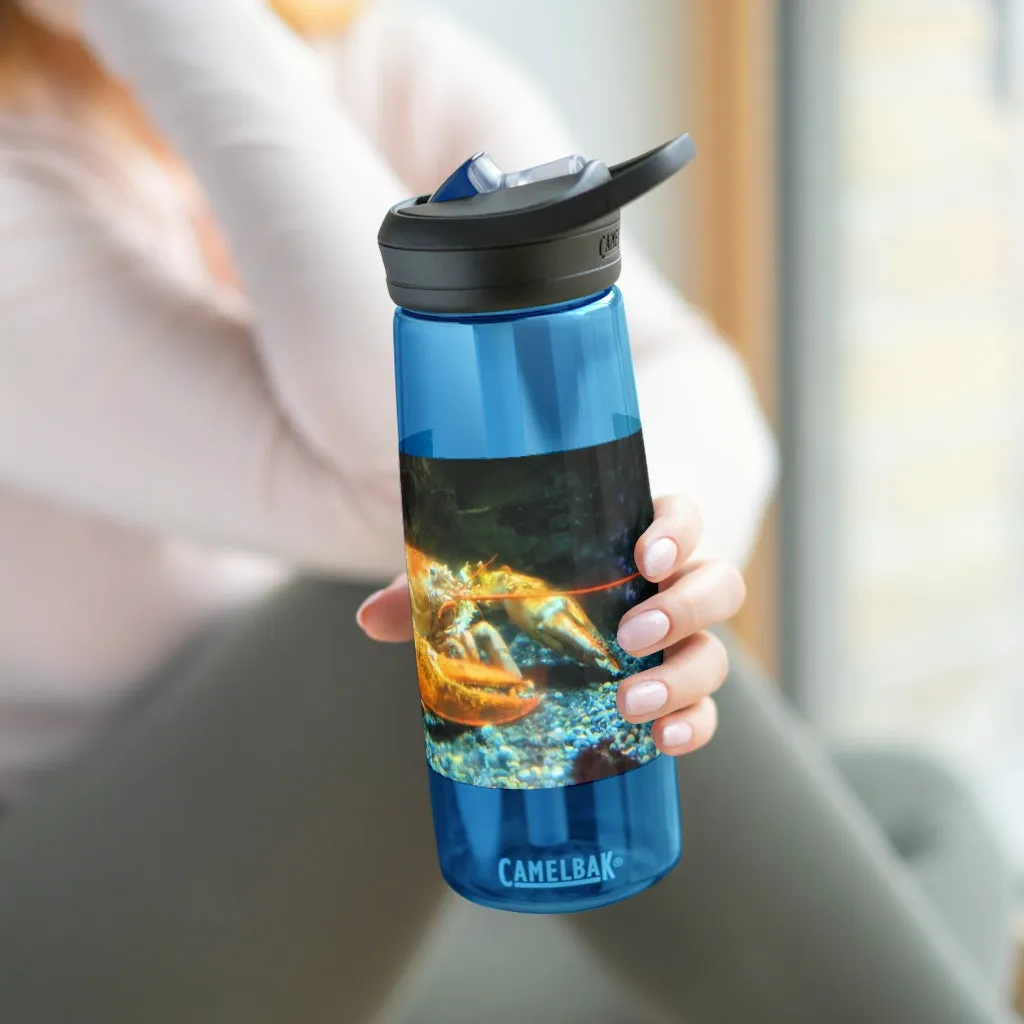 Lobster CamelBak Eddy®  Water Bottle, 20oz\25oz