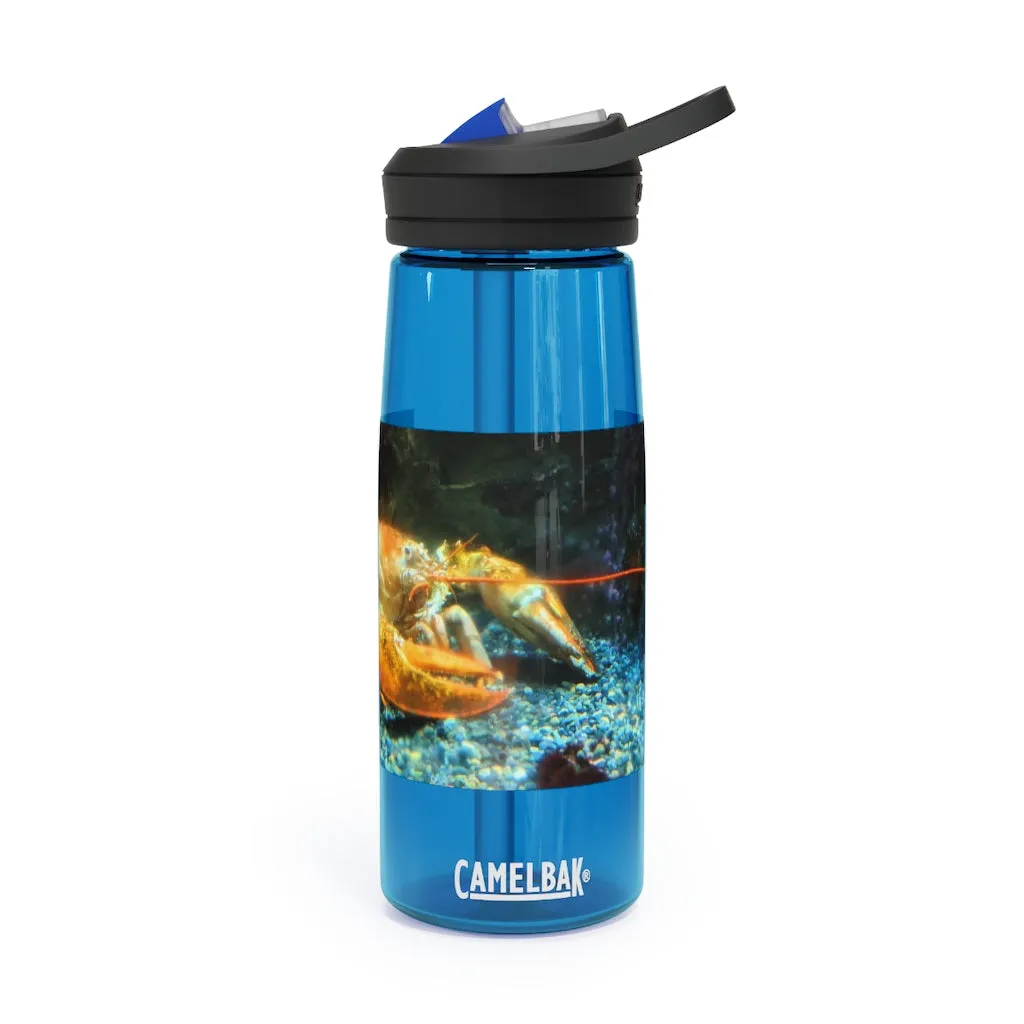 Lobster CamelBak Eddy®  Water Bottle, 20oz\25oz