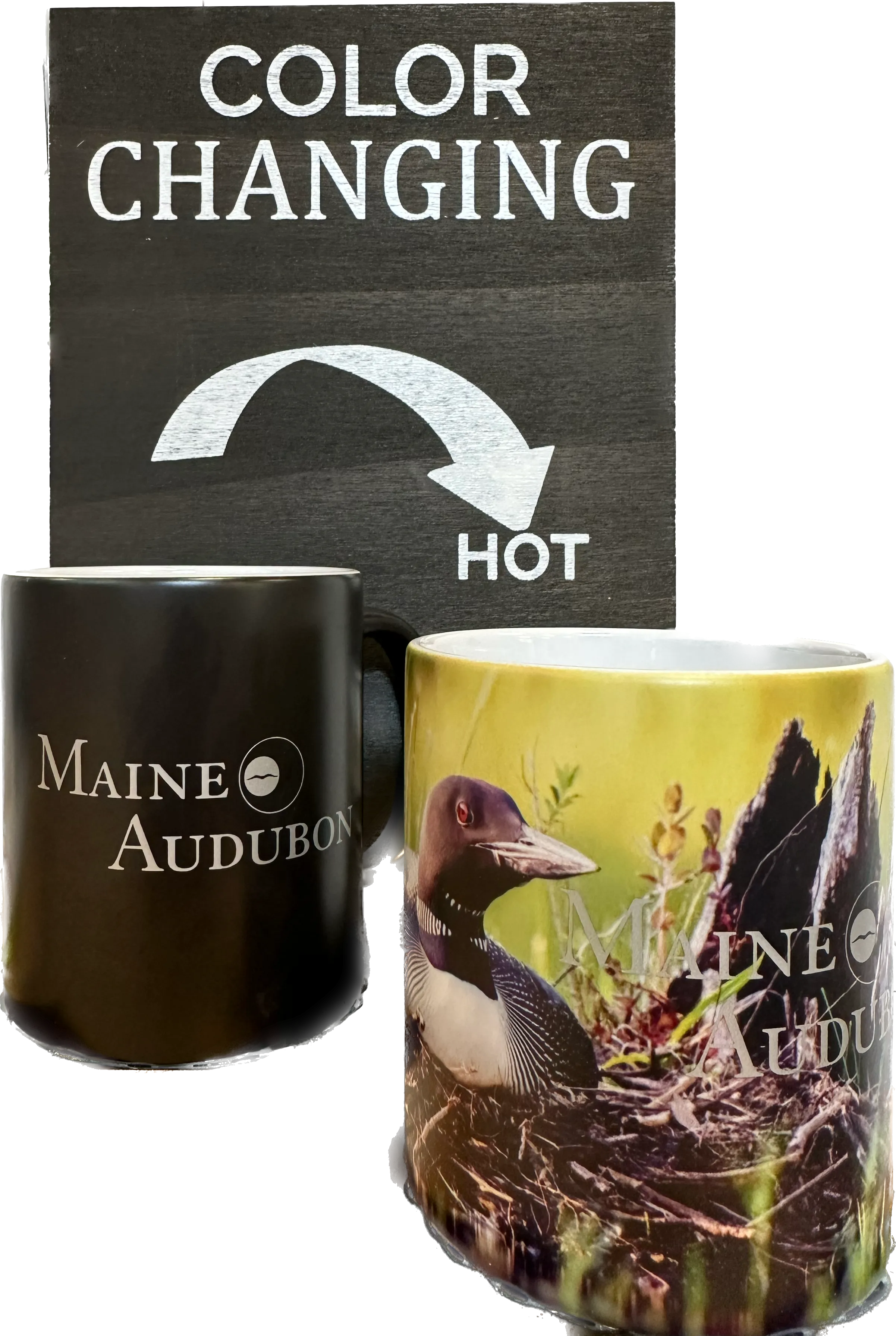 Maine Audubon Color Changing Mug