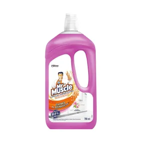 Mr Muscle Floor And All Purpose Cleaner Floral Scent 750ml