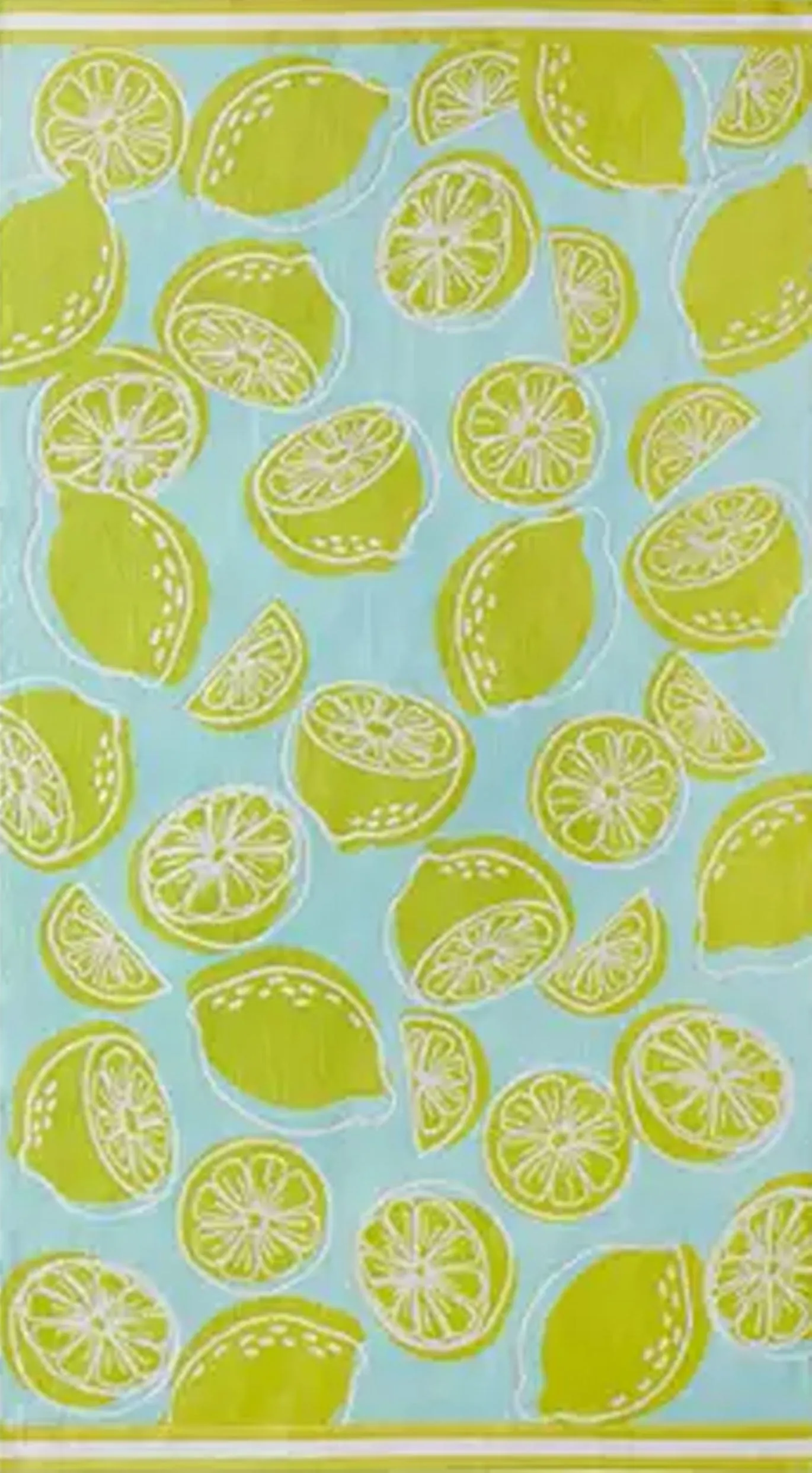 Oversized 40 x 72 in. Cotton Plush Beach Towel