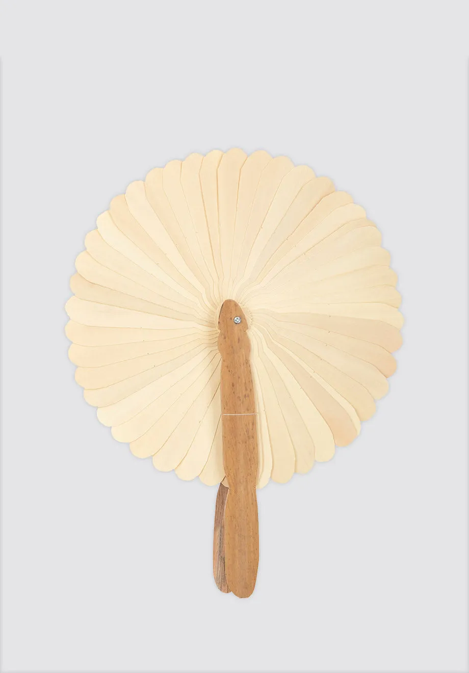 Palm Leaf Fan | Naturel | M