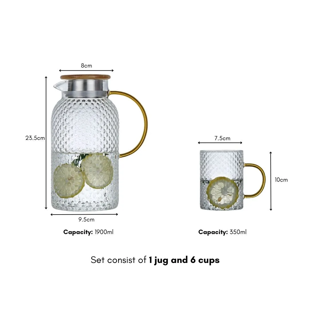 Reney Borosilicate Glass Jug Set