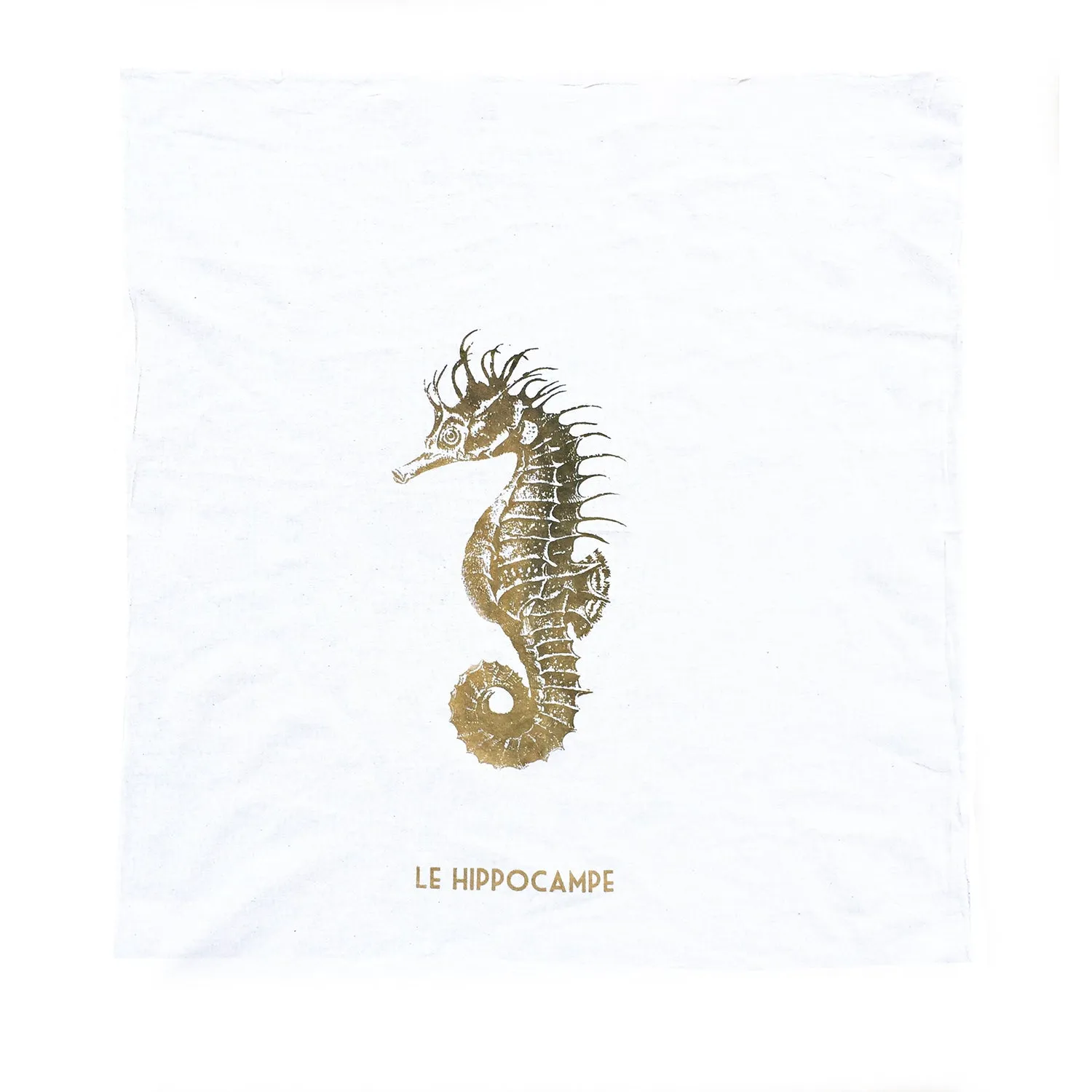 Seahorse Towel