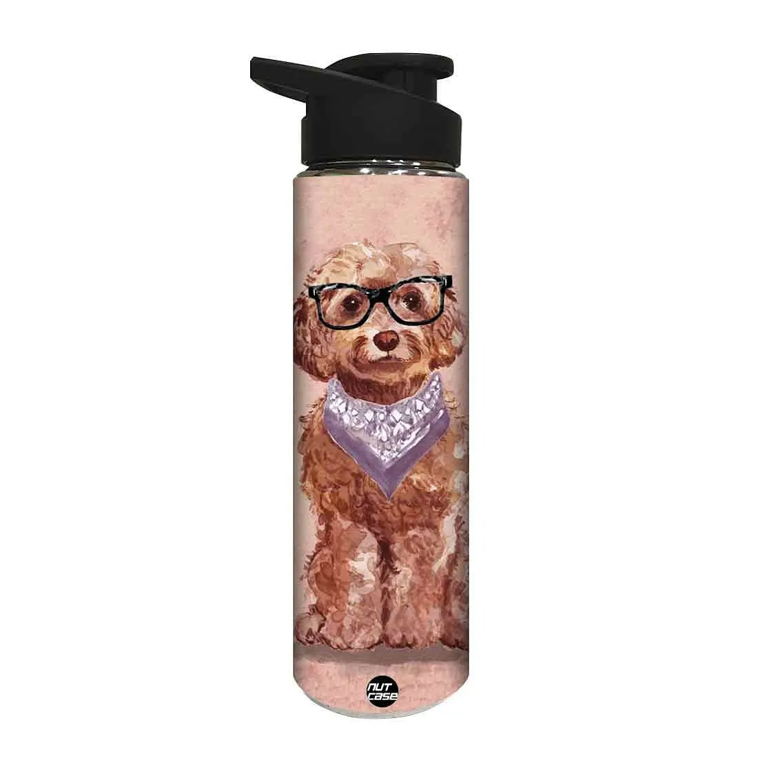 Stainless Steel Sipper Bottle -  Hipster Dog