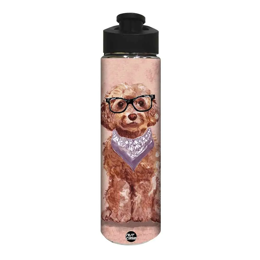 Stainless Steel Sipper Bottle -  Hipster Dog