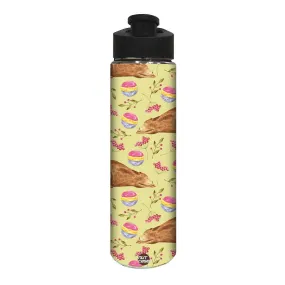 Stainless Steel Water Bottle -  Bear and Ball