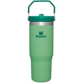 Stanley The IceFlow Flip Straw Tumbler 30 oz.