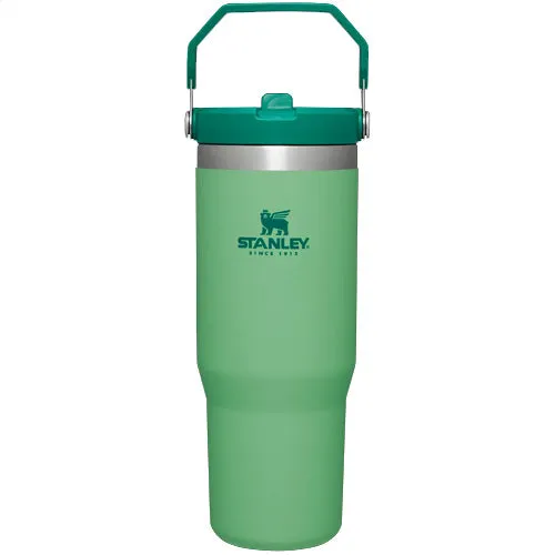 Stanley The IceFlow Flip Straw Tumbler 30 oz.