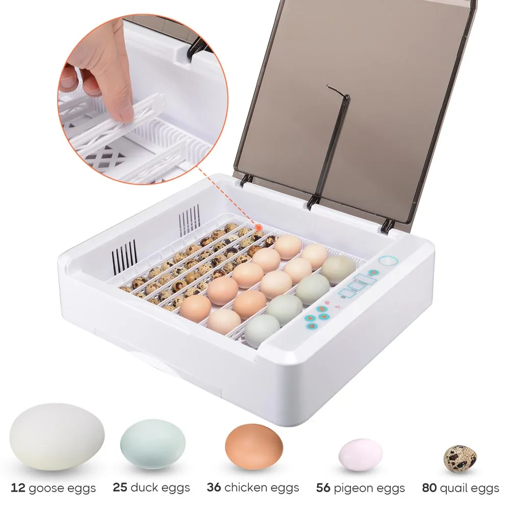 TheLAShop 36 Egg Incubator Automatic Turn Temp Humidity Control