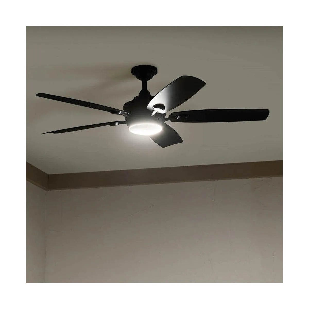 Tranquil 56 Inch Satin Black LED Damp Rated Ceiling Fan with Remote