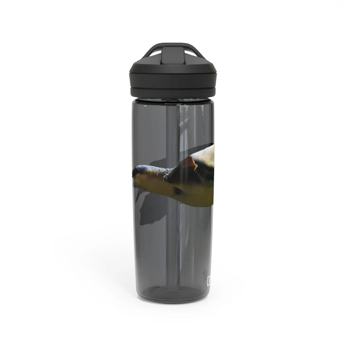 Turtle CamelBak Eddy®  Water Bottle, 20oz / 25oz