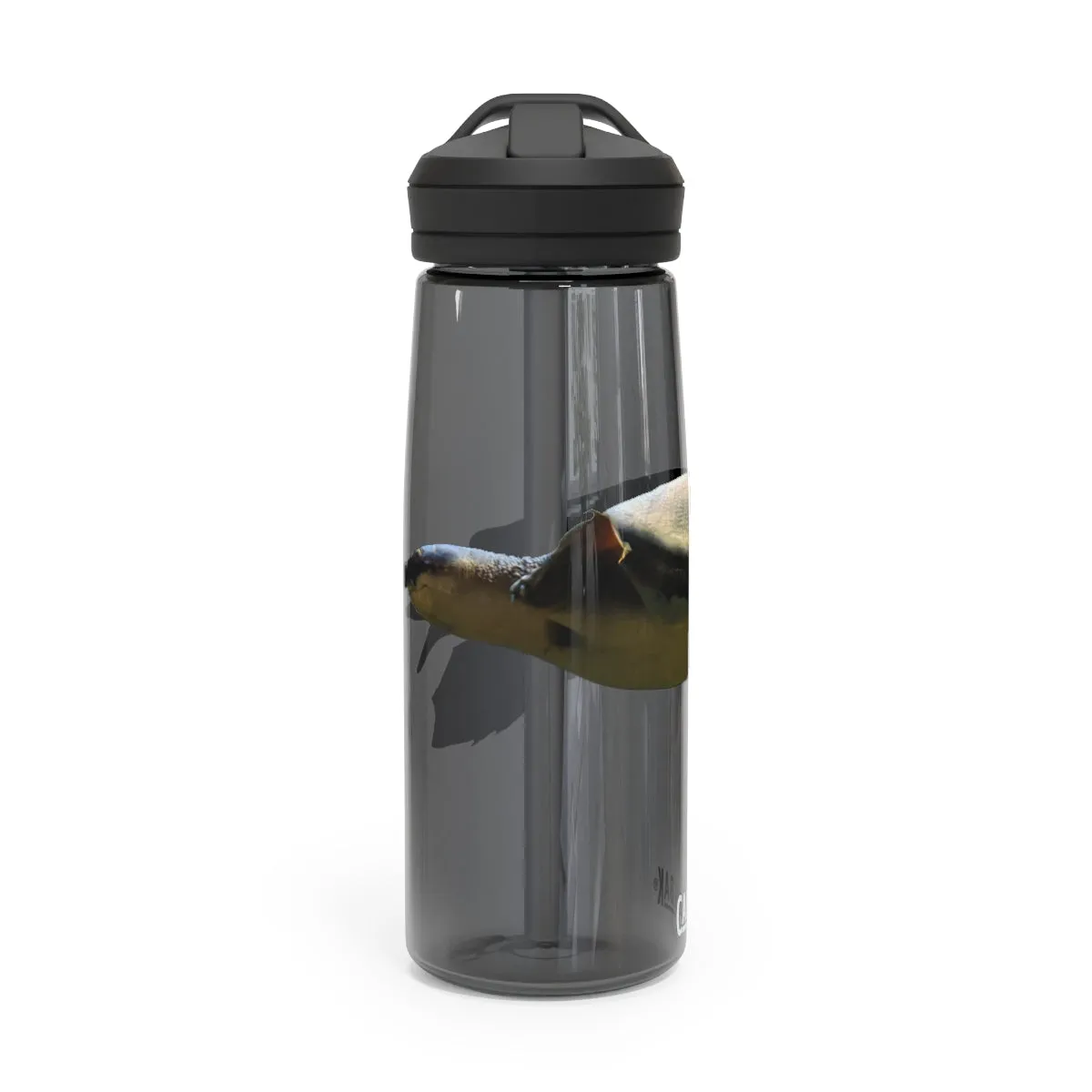 Turtle CamelBak Eddy®  Water Bottle, 20oz / 25oz