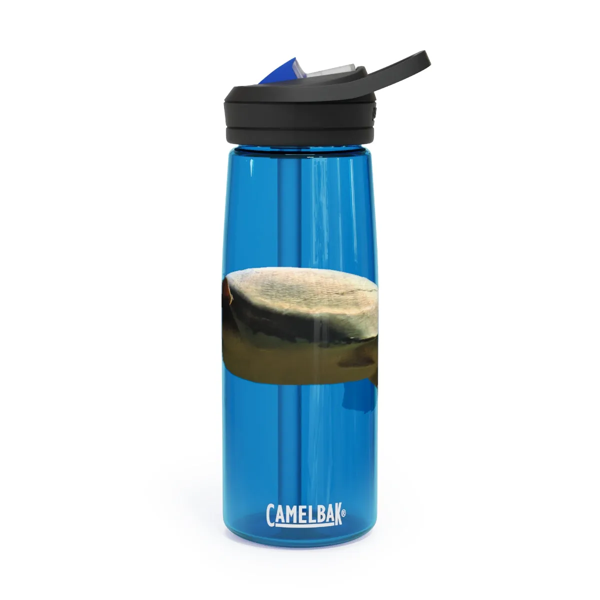 Turtle CamelBak Eddy®  Water Bottle, 20oz / 25oz