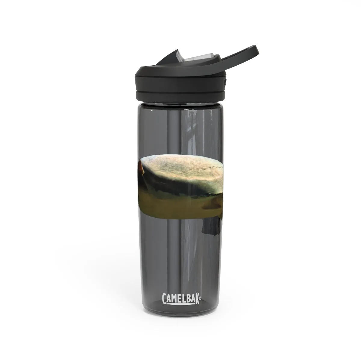 Turtle CamelBak Eddy®  Water Bottle, 20oz / 25oz