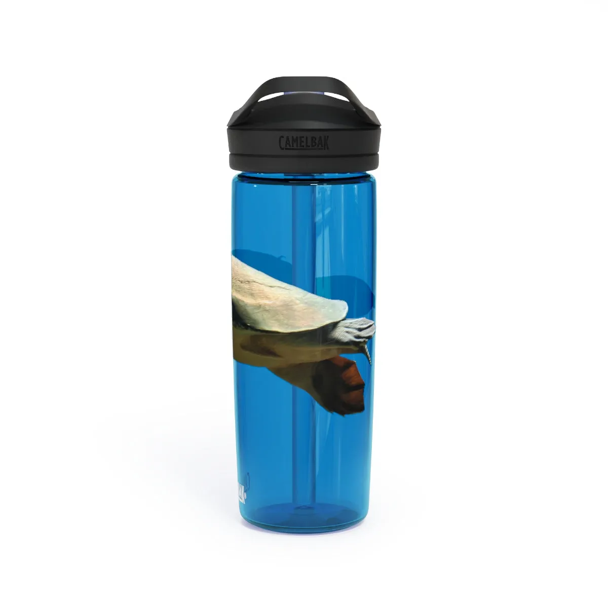 Turtle CamelBak Eddy®  Water Bottle, 20oz / 25oz