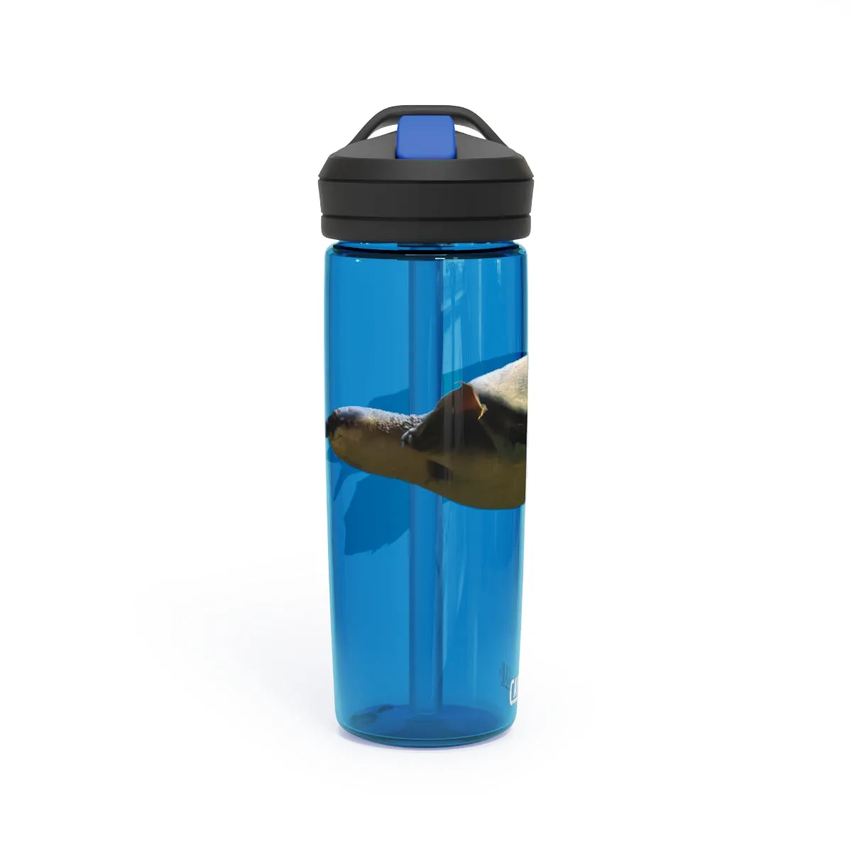 Turtle CamelBak Eddy®  Water Bottle, 20oz / 25oz