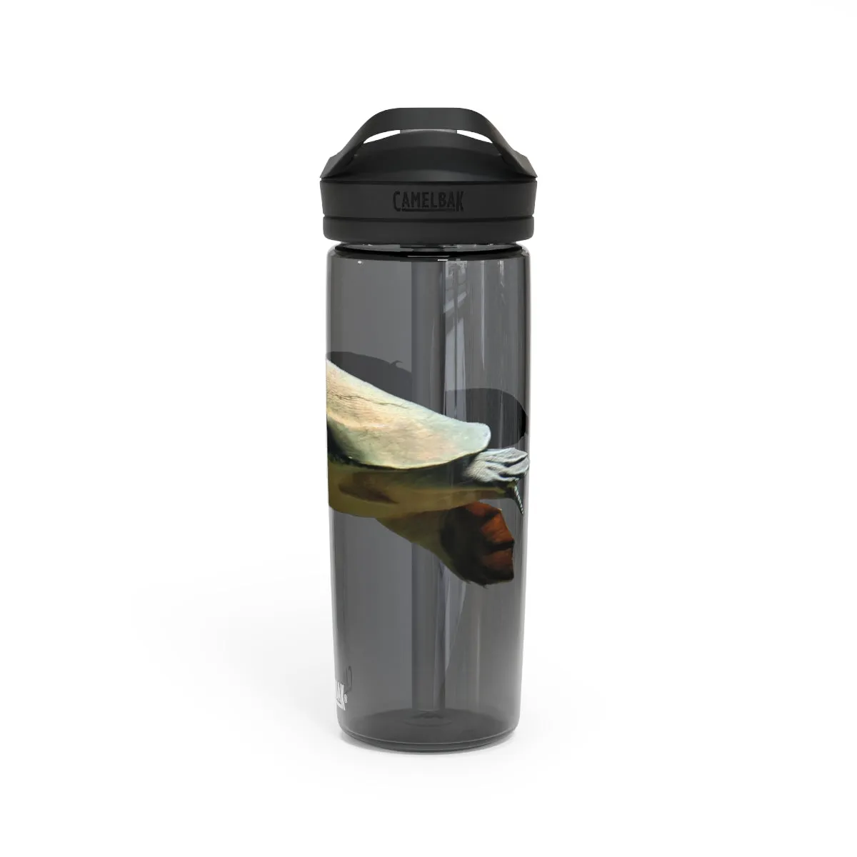 Turtle CamelBak Eddy®  Water Bottle, 20oz / 25oz