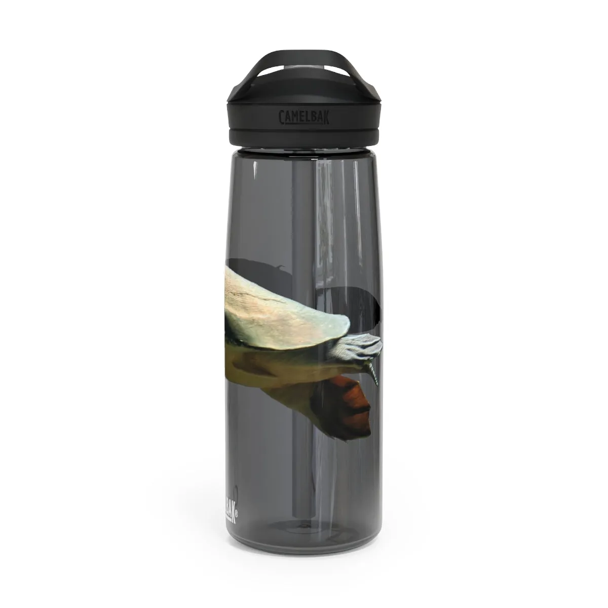 Turtle CamelBak Eddy®  Water Bottle, 20oz / 25oz