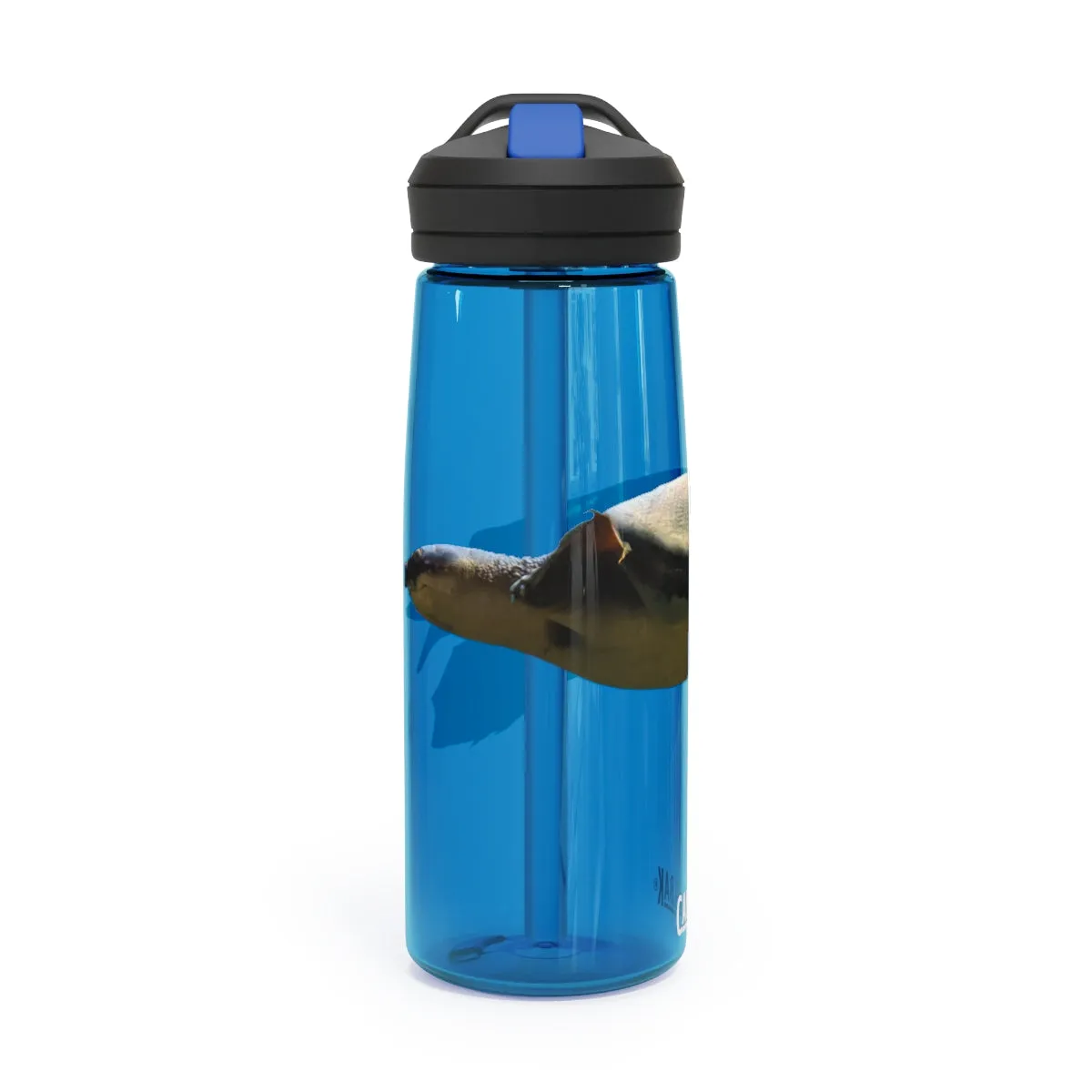 Turtle CamelBak Eddy®  Water Bottle, 20oz / 25oz