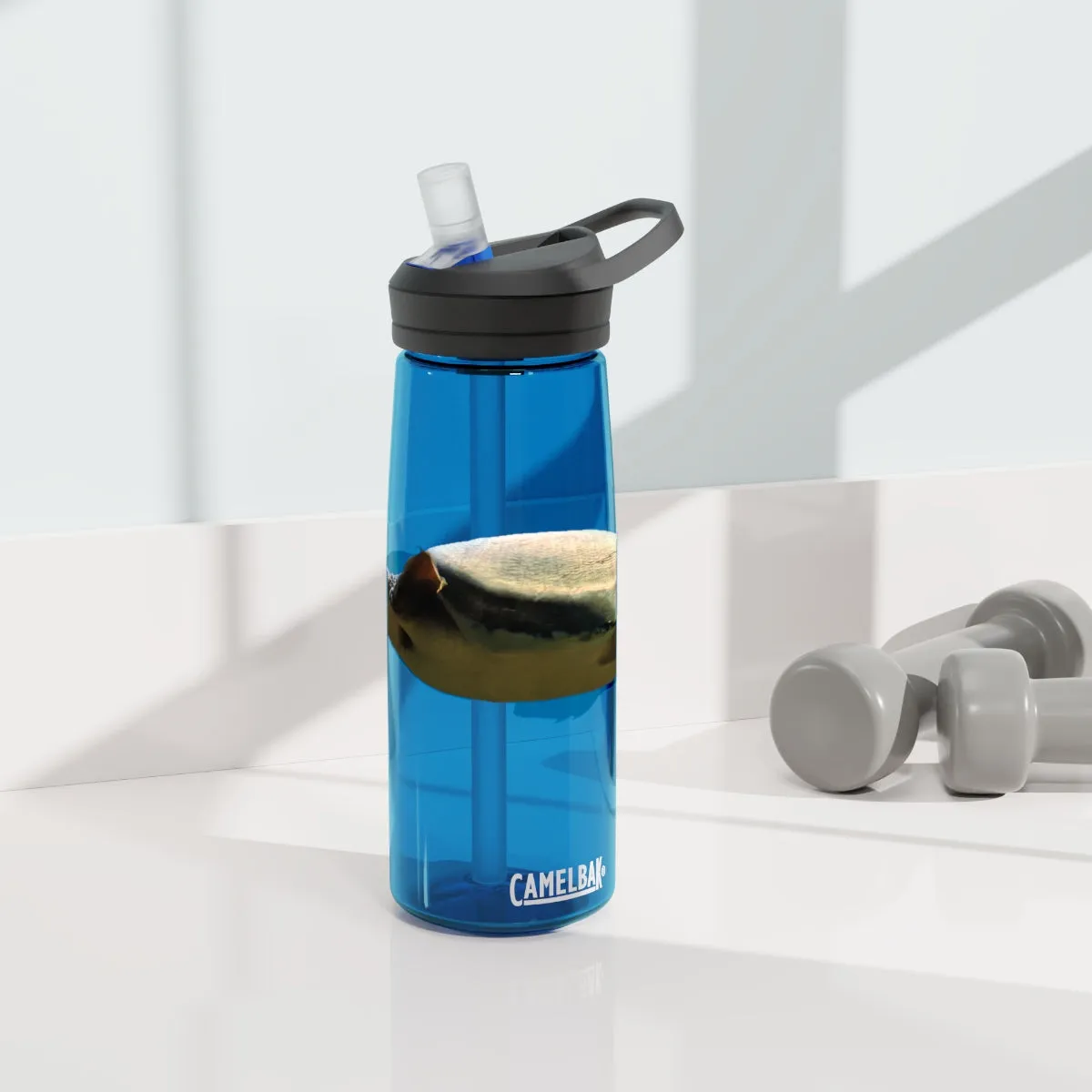 Turtle CamelBak Eddy®  Water Bottle, 20oz / 25oz